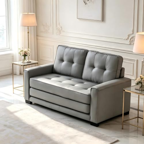 Convertible Futon Sofa Bed D694
