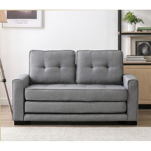Convertible Futon Sofa Bed D694