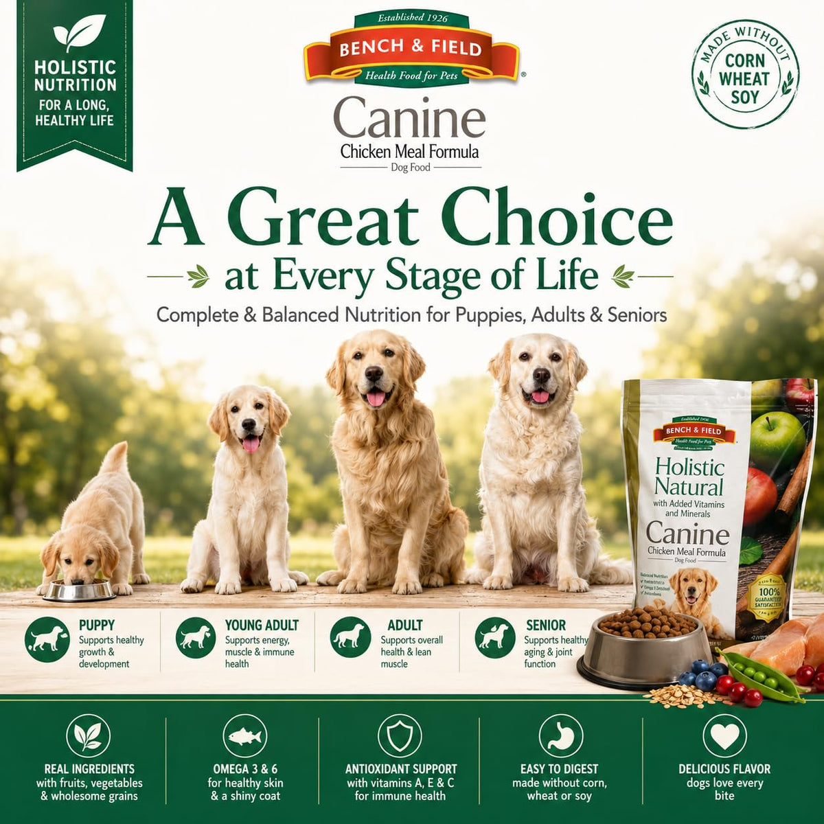 Chicken Meal & Brown Rice Dry Dog Food 6.6 lb F317886