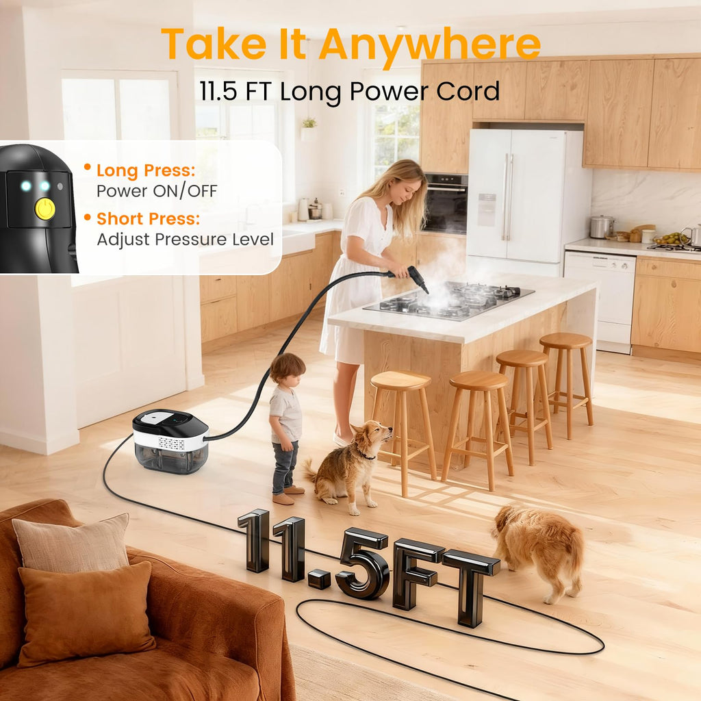 1600ML Handheld Steam Cleaner Q176