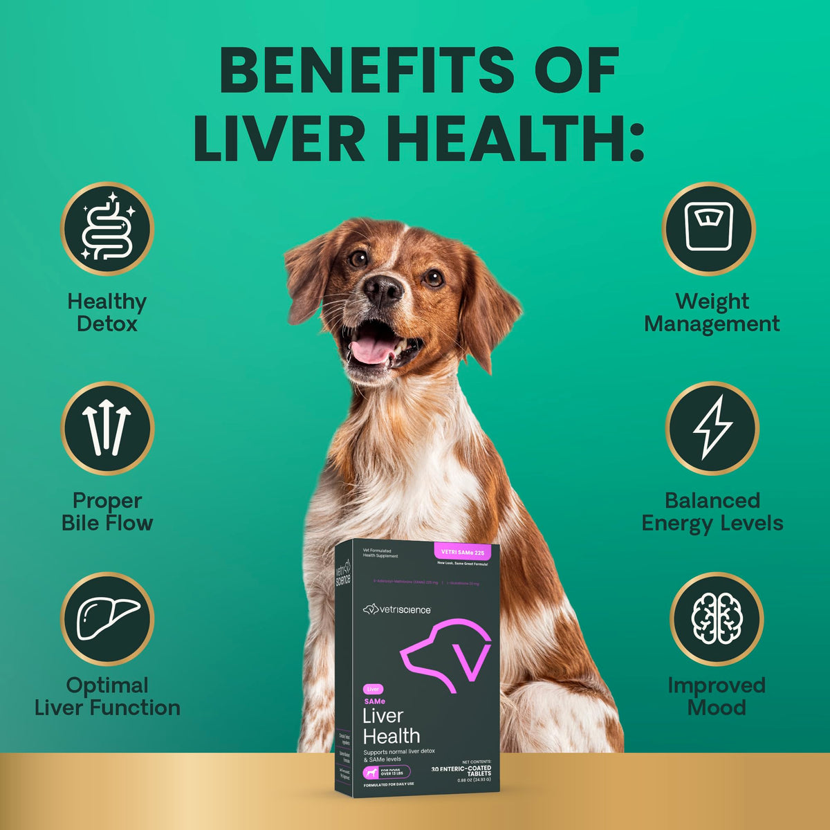Liver Health Tablets for Dogs 30 Count F12536