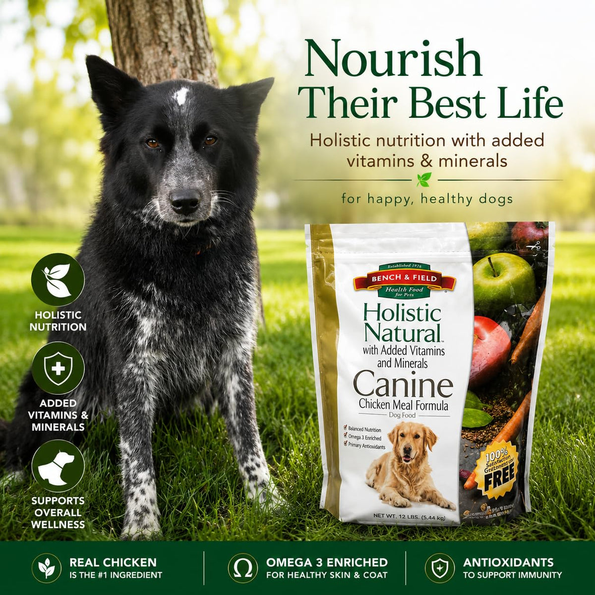 Chicken Meal & Brown Rice Dry Dog Food 6.6 lb F317886