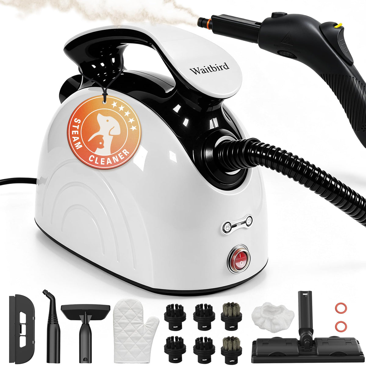 4.5 Bar 300°F Steam Cleaner O160
