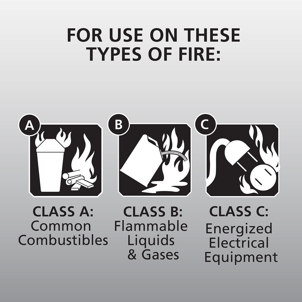 White 3.9 Lbs. Fire Extinguisher with Wall Mount V670