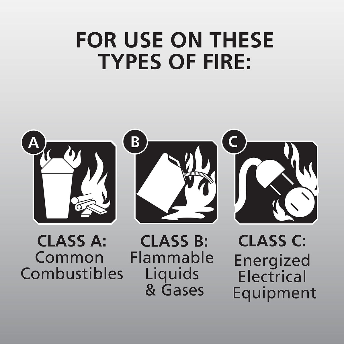 White 3.9 Lbs. Fire Extinguisher with Wall Mount V670