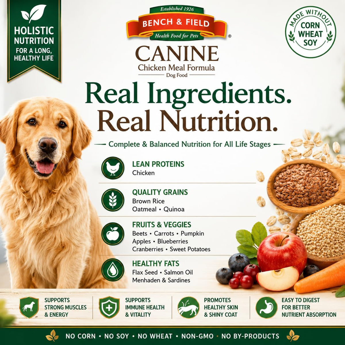 Chicken Meal & Brown Rice Dry Dog Food 6.6 lb F317886