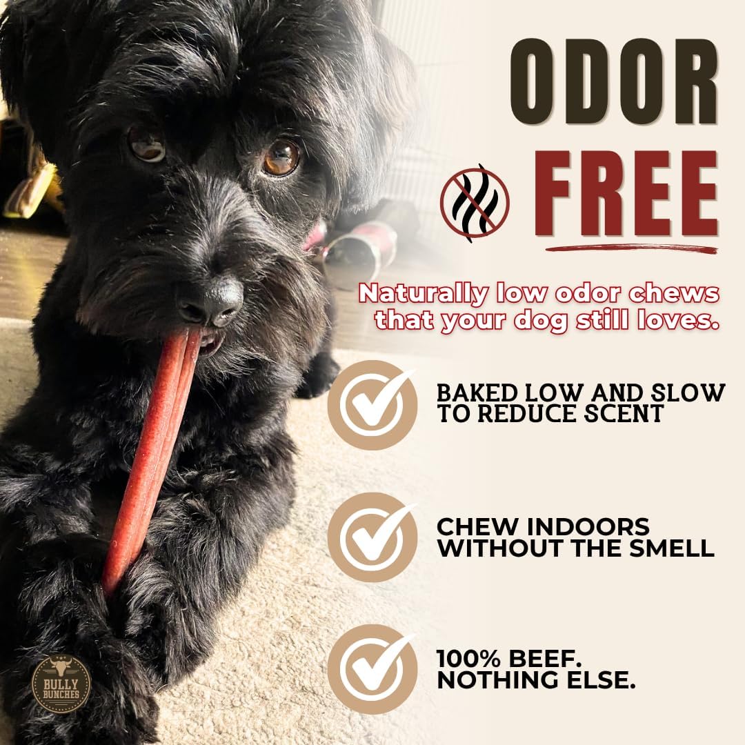 6" 5 Pack Odor-Free Bully Sticks Dog Treats V690429