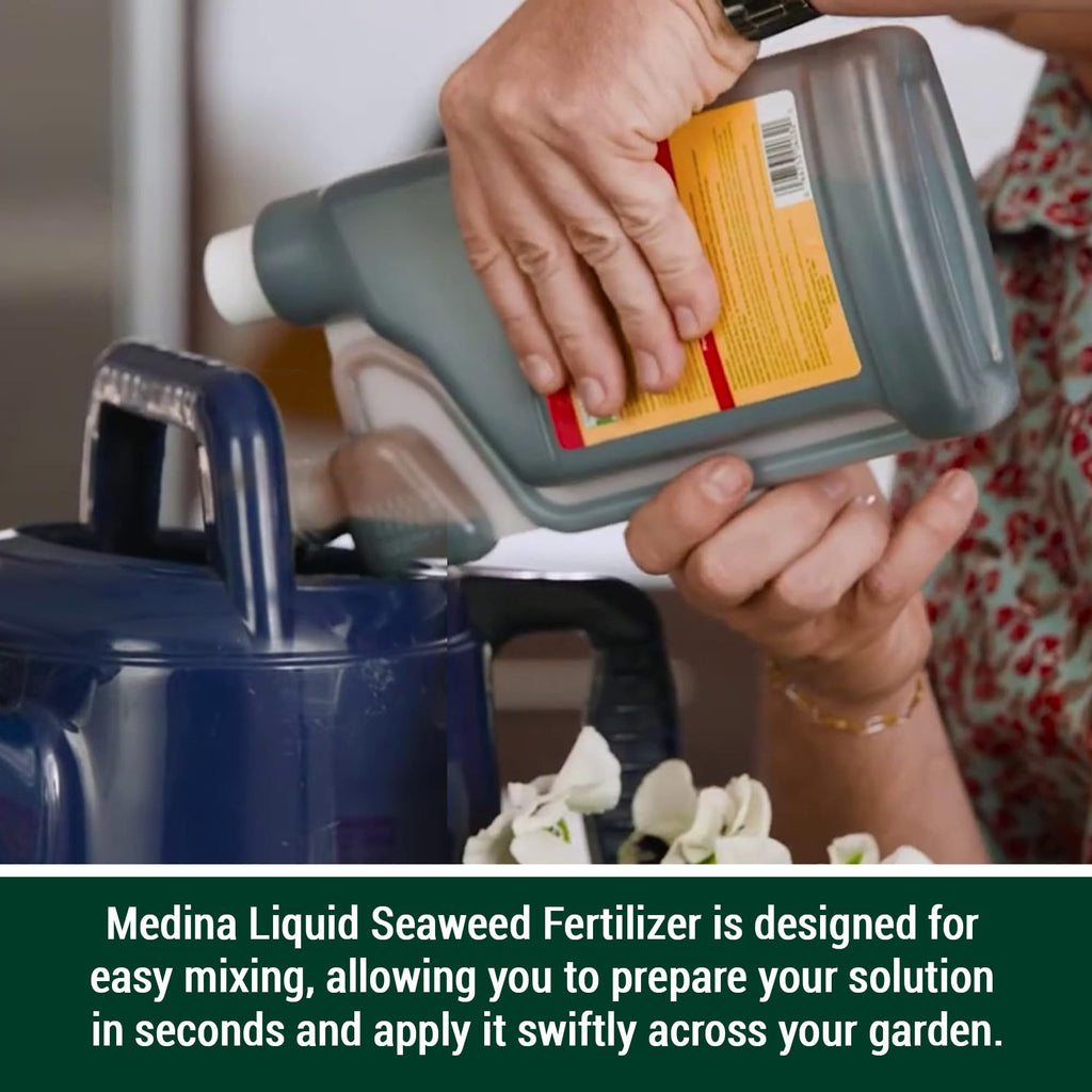 Liquid Seaweed Fertilizer 1 Quart R30358