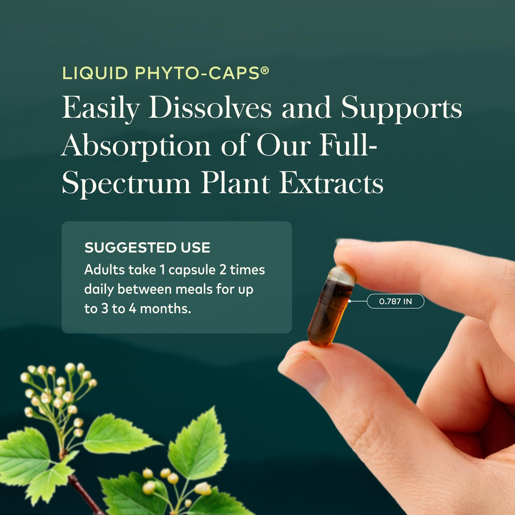 60 Vegan Capsules Liver Cleanse S4725