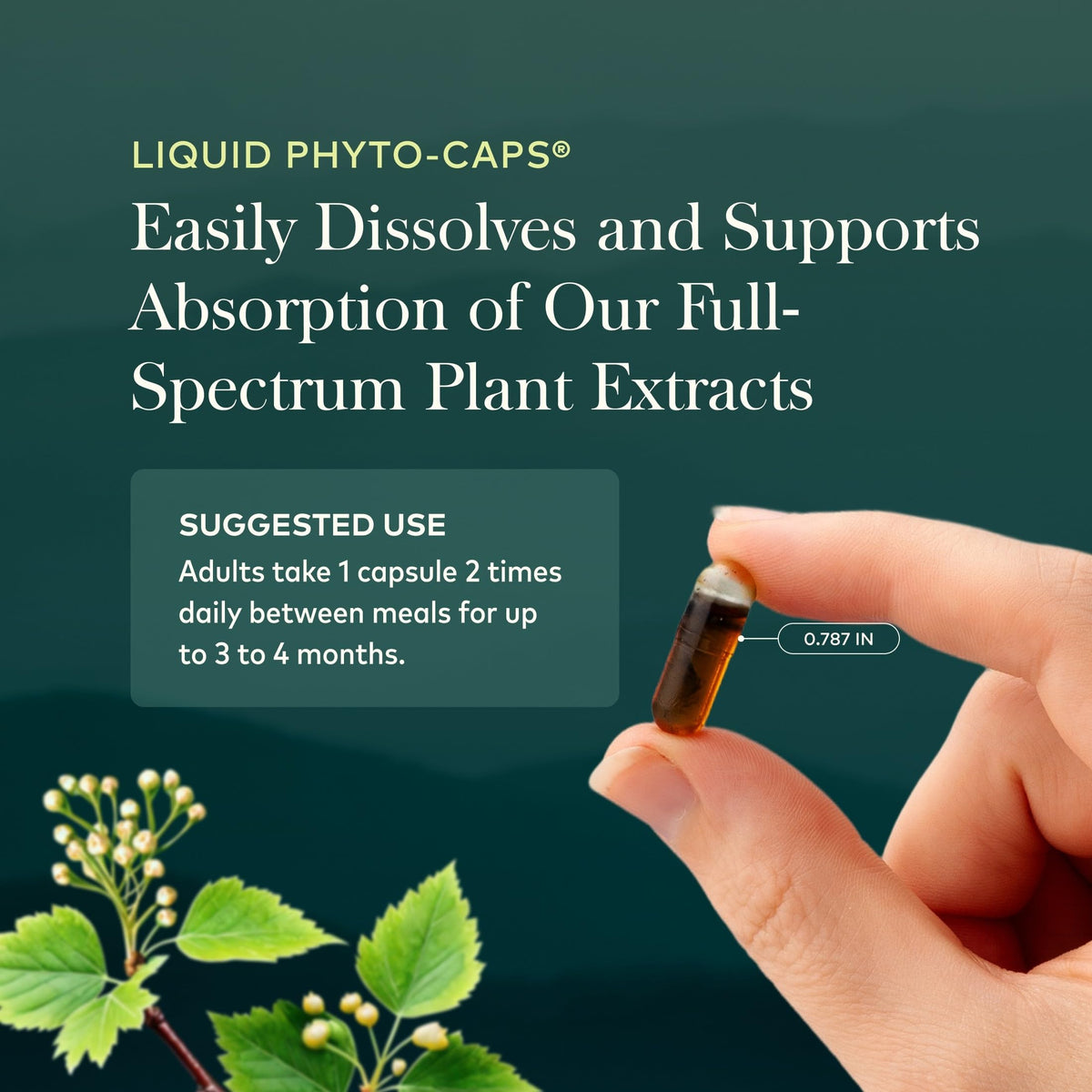 60 Vegan Capsules Liver Cleanse S4725