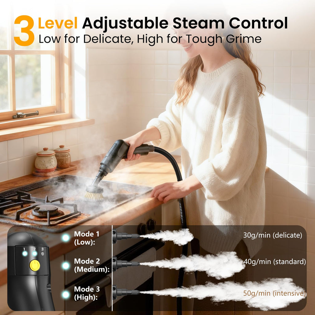 1600ML Handheld Steam Cleaner Q176
