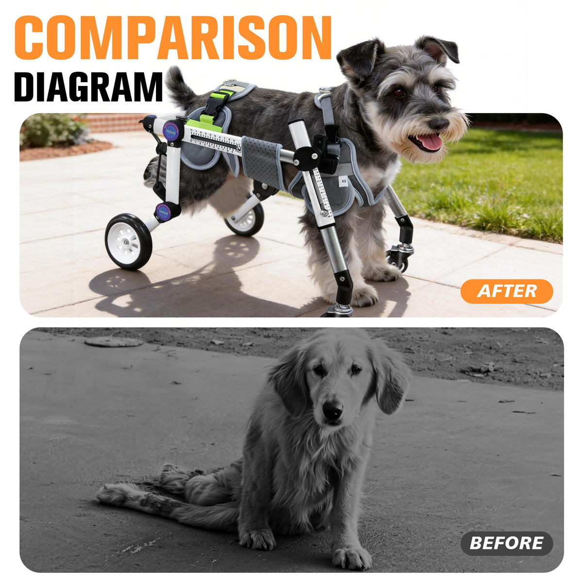 Dog Wheelchair for Small Dogs Z201075