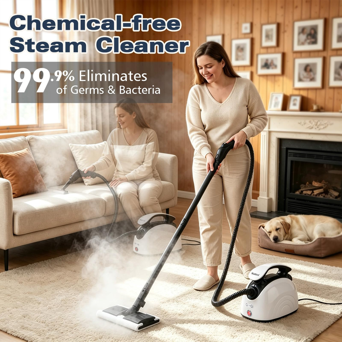 4.5 Bar 300°F Steam Cleaner O160