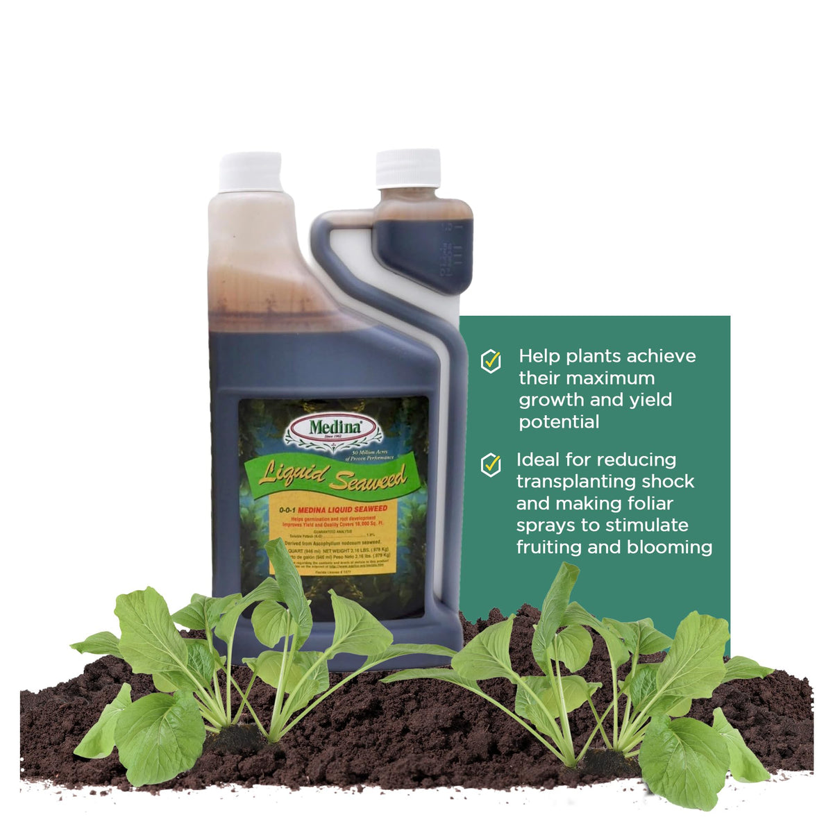Liquid Seaweed Fertilizer 1 Quart R30358