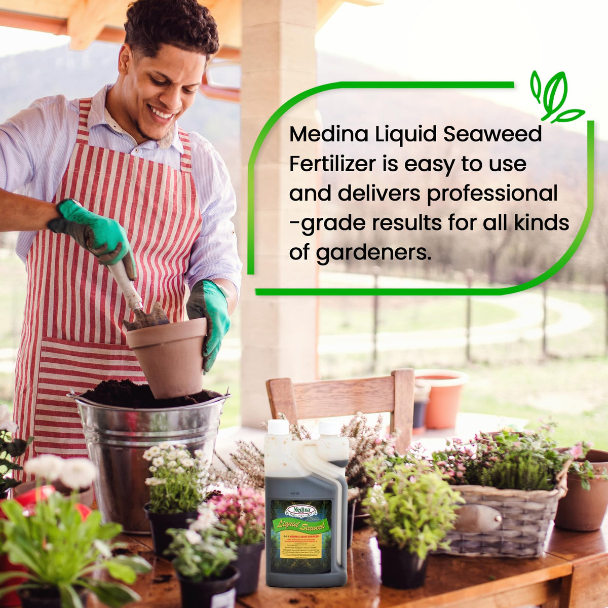 Liquid Seaweed Fertilizer 1 Quart R30358