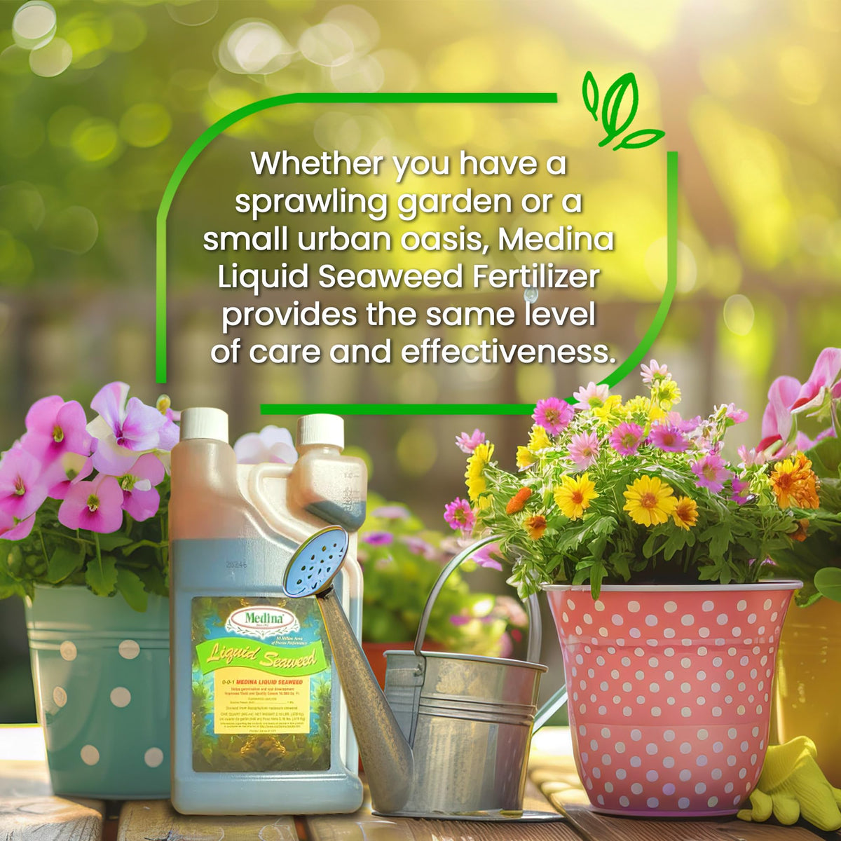 Liquid Seaweed Fertilizer 1 Quart R30358