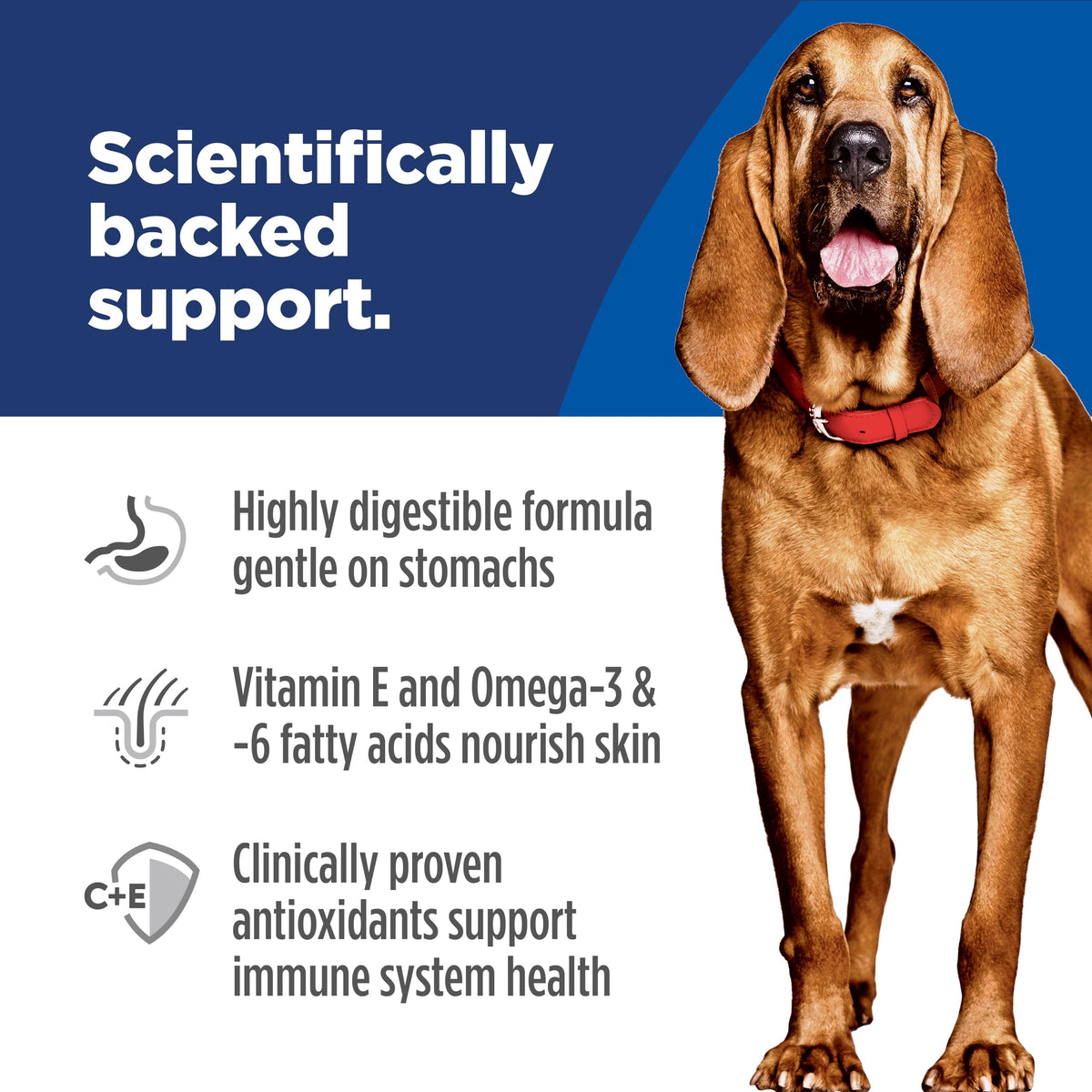 Sensitive Stomach & Skin Large Breed Dry Dog Food U19814