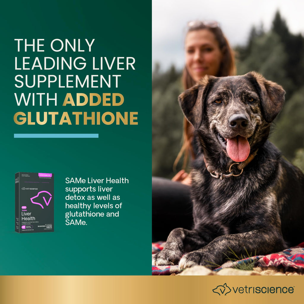 Liver Health Tablets for Dogs 30 Count F12536